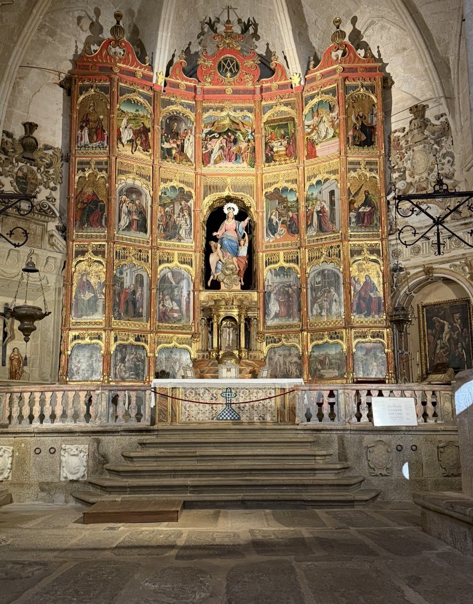 MagistraThor🇪🇸 tweet media