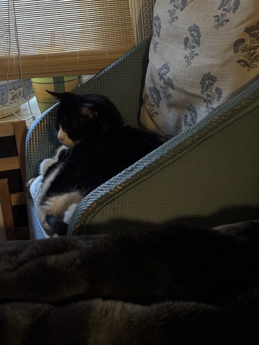 Knighton Museum - Amgueddfa Tref-y-Clawdd tweet media