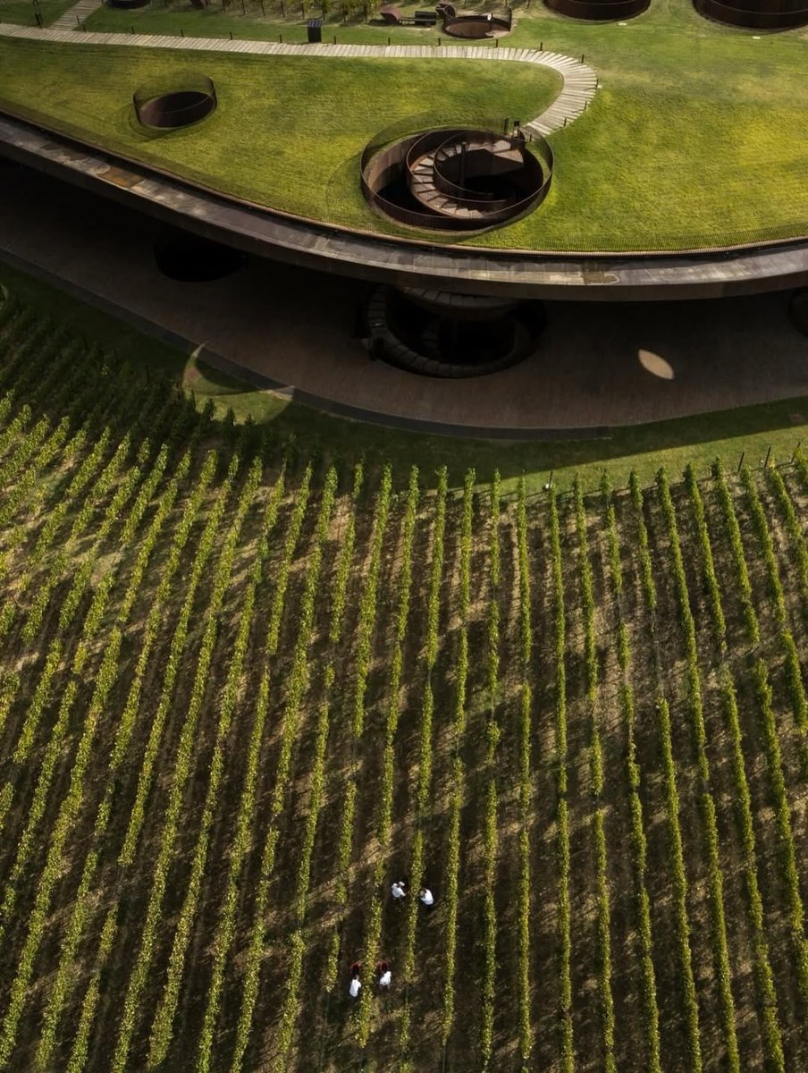 ParametricArchitecture tweet media