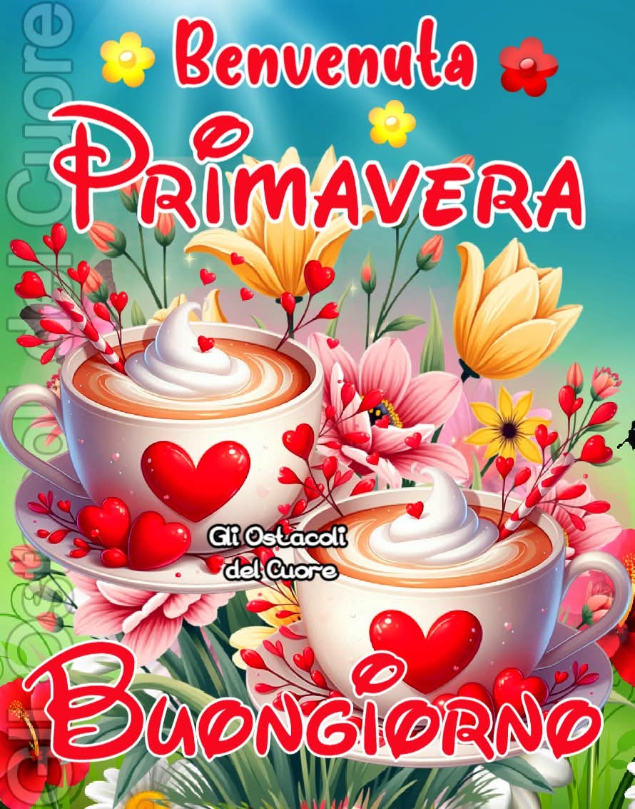 Cira Accardo tweet media