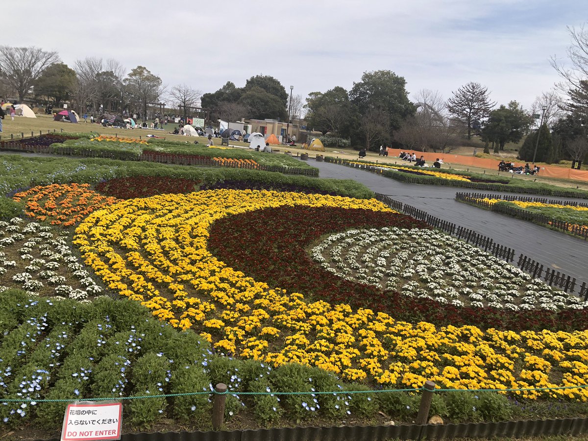 さぶ峰 庵 tweet media