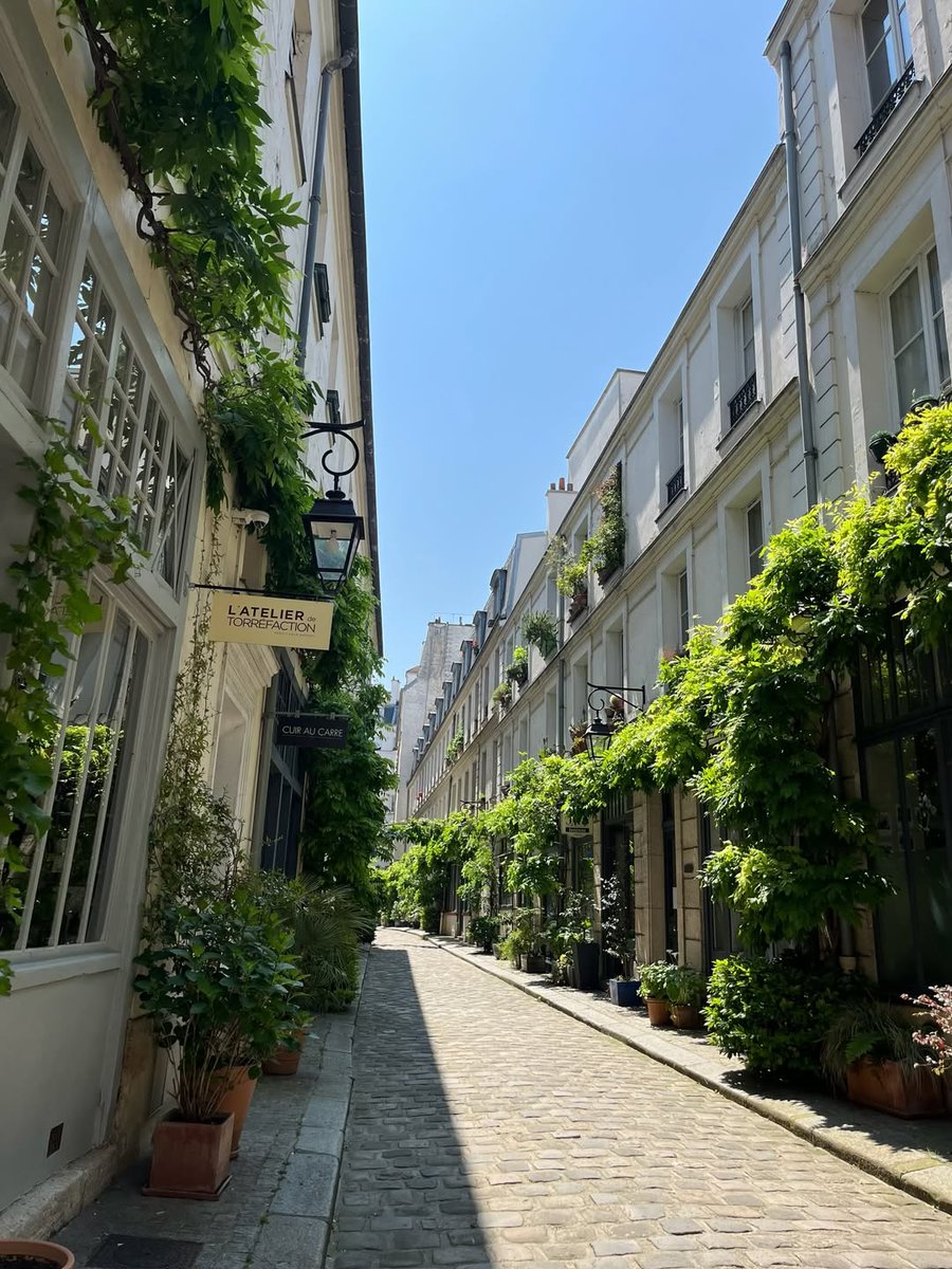 Parisian Aesthetics tweet media