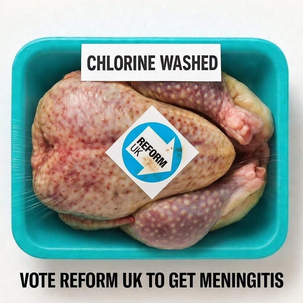 CaptainBird tweet media