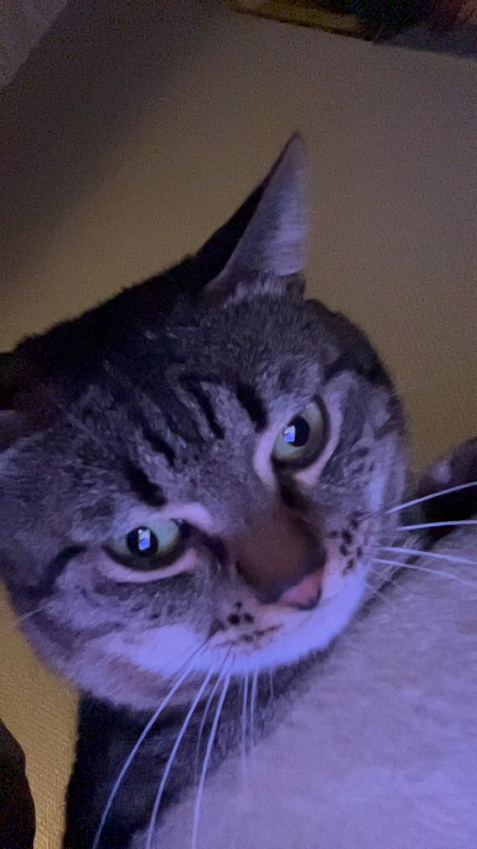 KushMasters tweet media