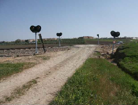 Miguel Ángel Matute tweet media