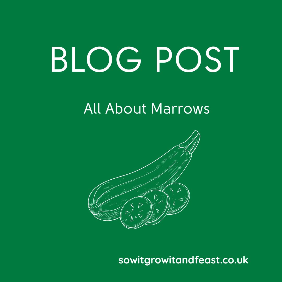 SowGrowFeast's tweet photo. Want to grow your own food but not sure where to start? 👉https://t.co/JasT94cti5
#growyourown #growyourownfood #beinggardening #vegetablegardening #fruitgardening #herbgardening #gardening #feedyourfamily #honestfood #marrows https://t.co/Dc4vZUUGfb