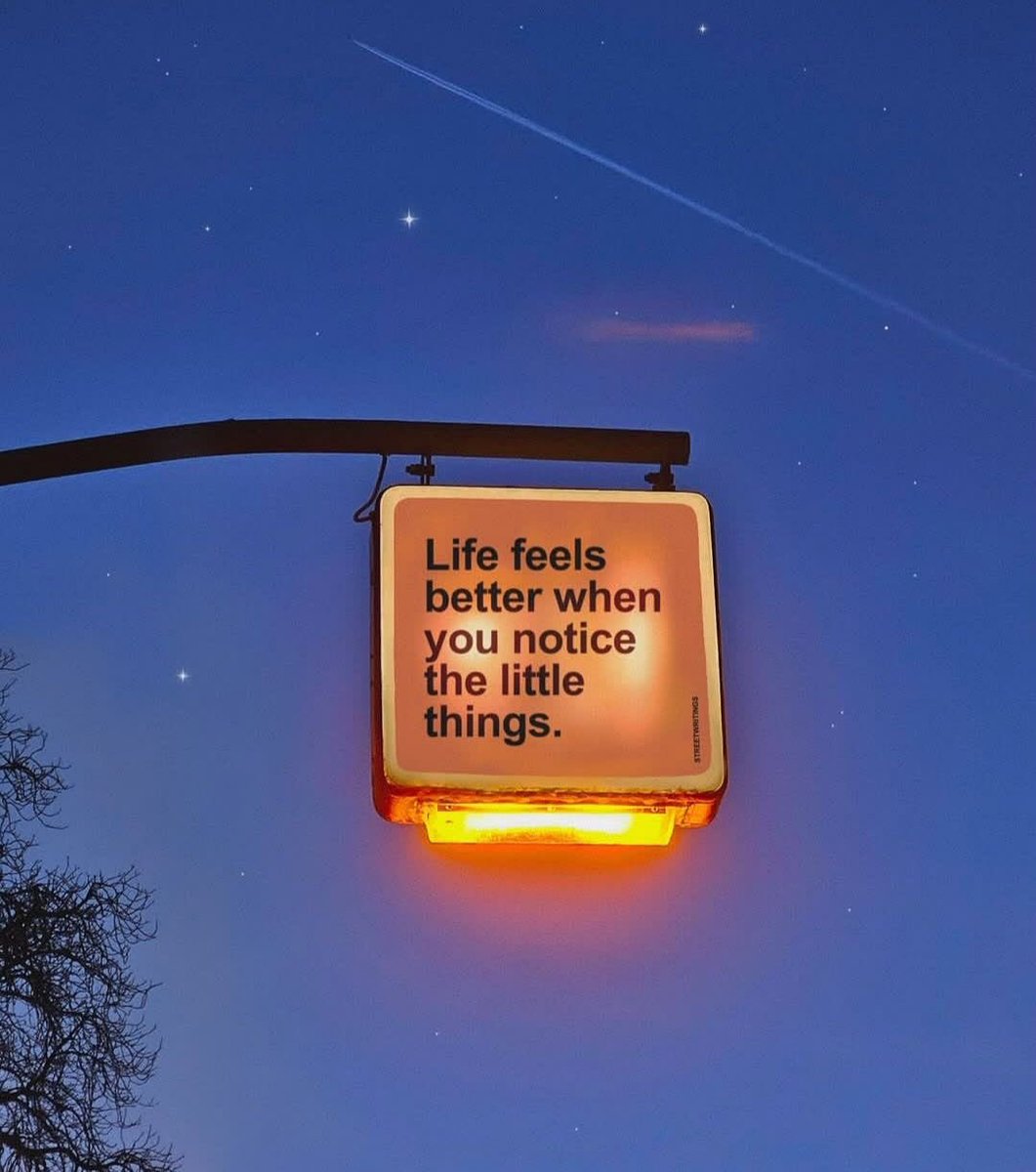 Iamveektoria.base.eth 🙂‍↔️🌳 ✠ tweet media