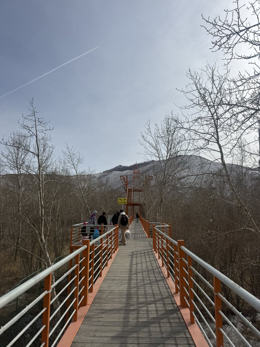 GanTulga tweet media