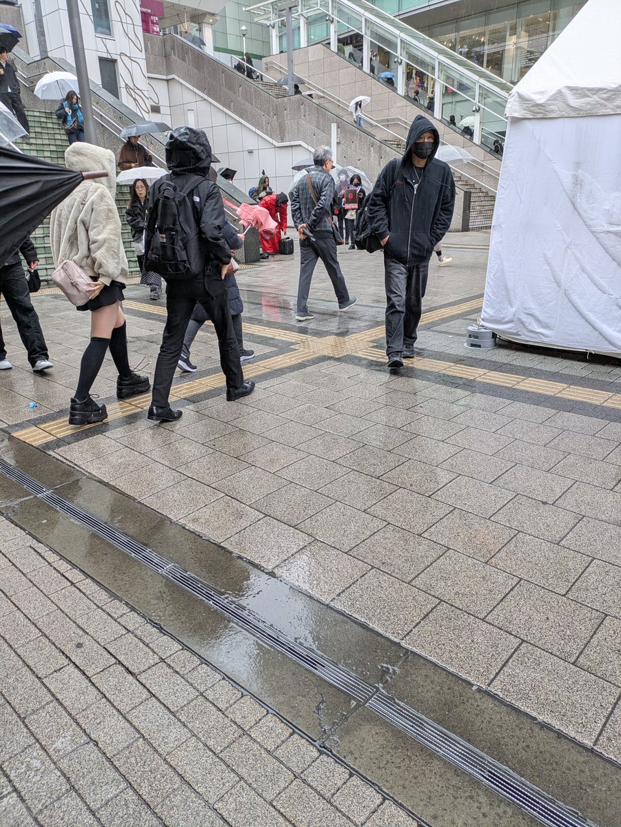 幸せまこ🐈🌸勝手連🌸桜草🌸日本第一党 tweet media