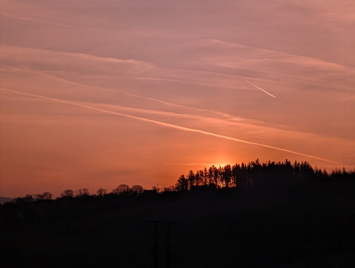 Anne Kelly ⛔NO DMs⛔ unless I know or follow you. tweet media