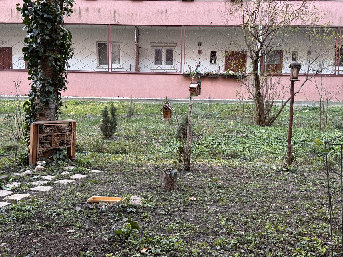 LunaMaya tweet media