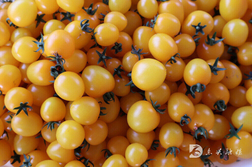 Lauren Smith tweet media