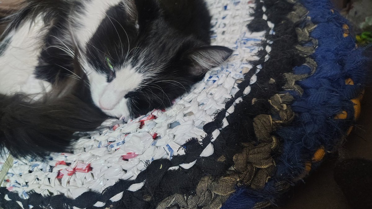 Tal✨they/them tweet media