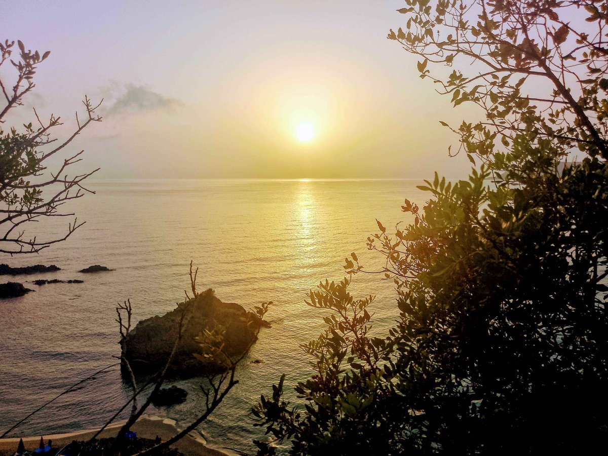 Krypto knocks tweet media