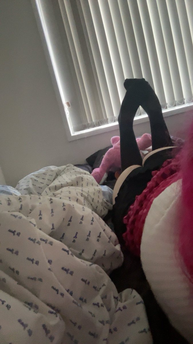 paige tweet media