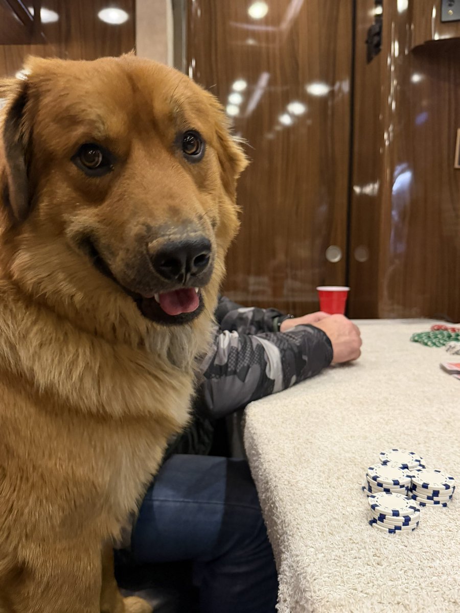 SAN ANTONIO IM 50 GREEN CHIPS DOWN OUR BUSES BROKE DOWN TWICE BUT HIGHWAY (GOOD) BOYS ARE ON THE ROAD TONIGHT LETS GOOOO SEE YOU SATURDAY