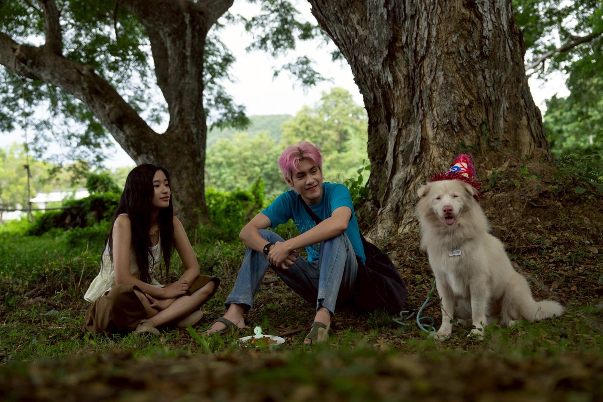 TalkinTrend tweet media