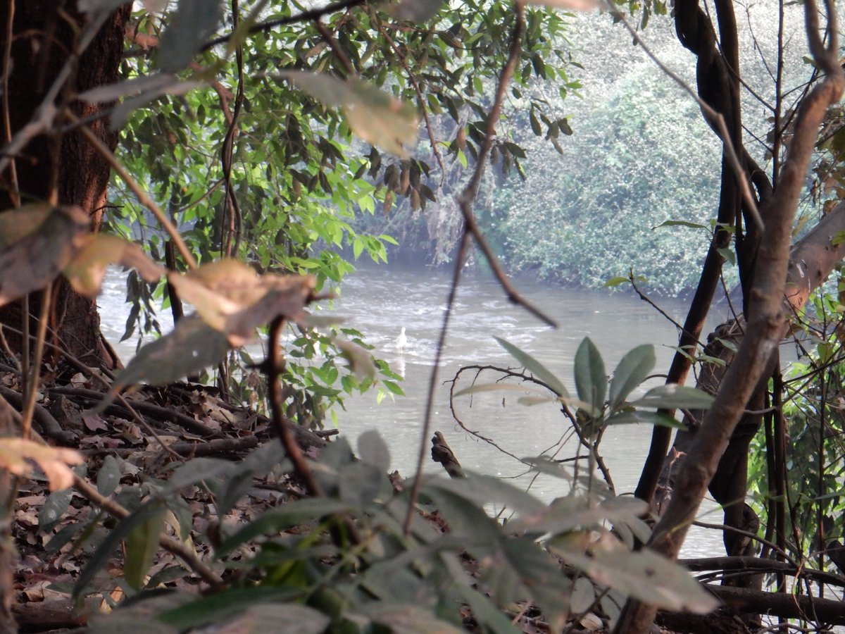 Raja Subramani tweet media