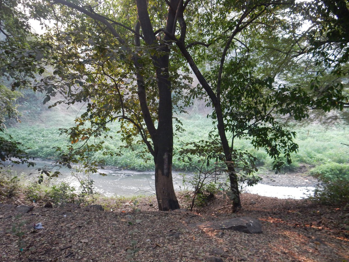 Raja Subramani tweet media