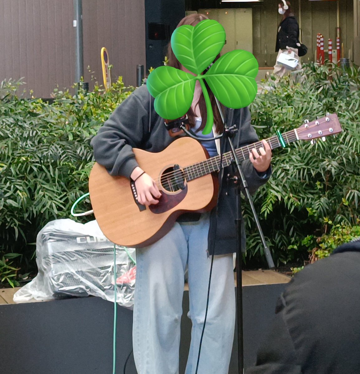 🌸 かーと 🌸 tweet media