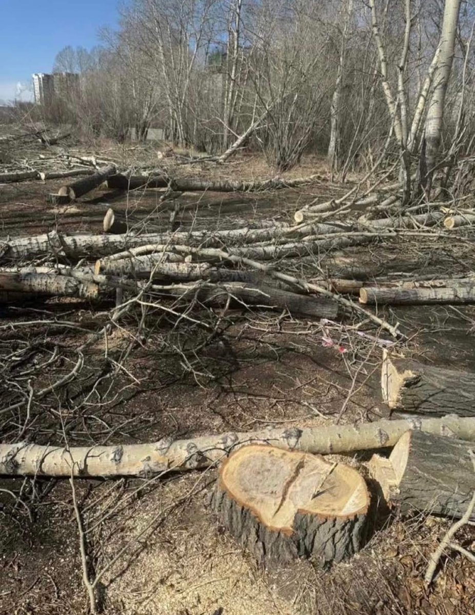 Цагаанцоожийн ЭНХБАТ tweet media