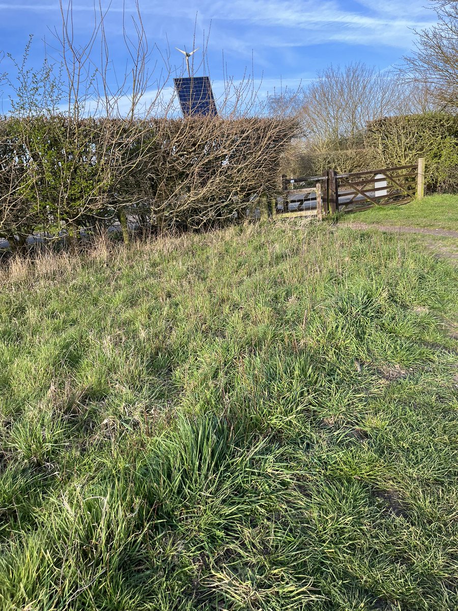 rob sellers🇾🇪 tweet media