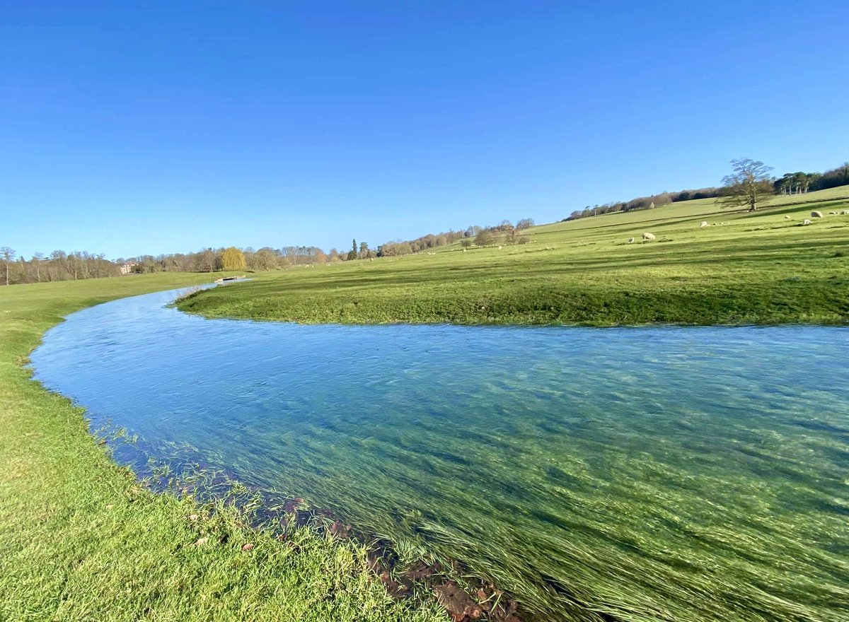 Andrew Edwards tweet media