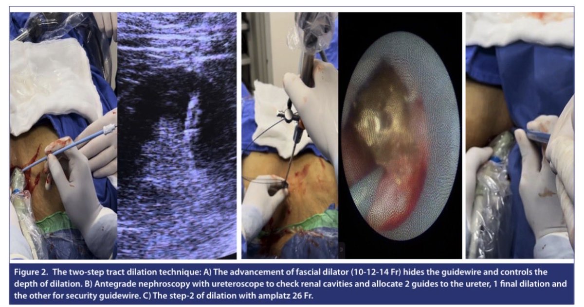 Urology Research and Practice tweet media