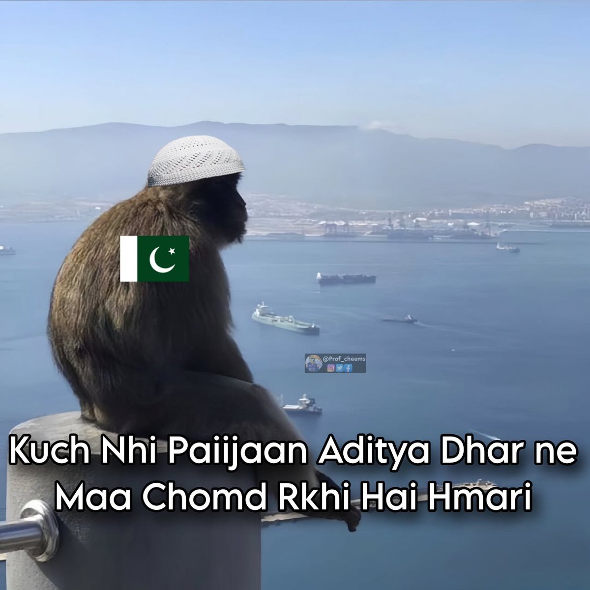 Prof cheems ॐ tweet media