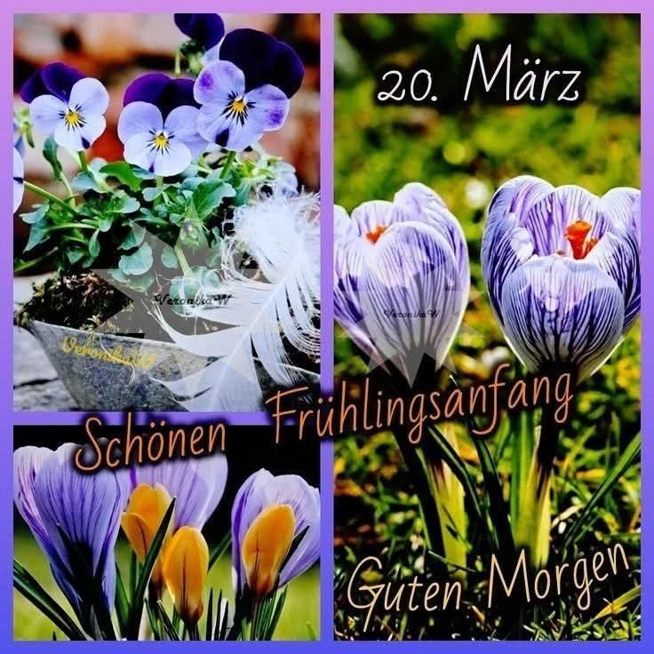 Ursela Luftenstein 🌺💚☀️ tweet media