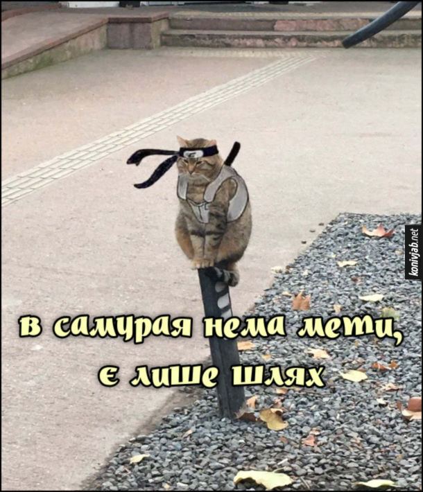 Market Маркет tweet media