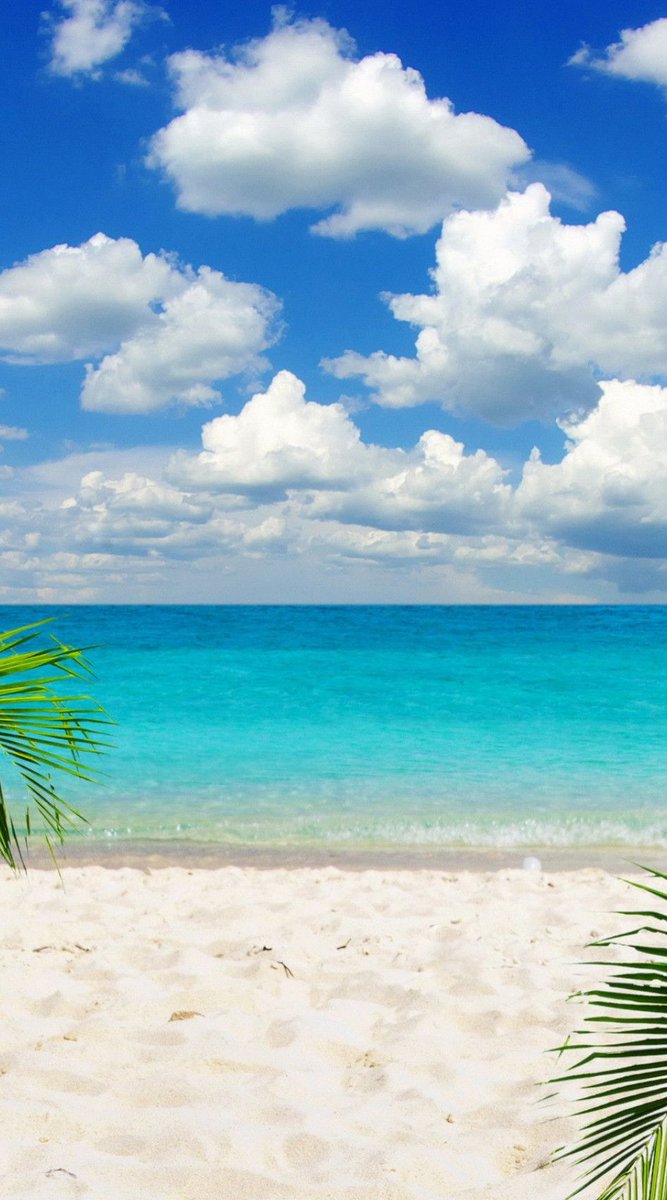 いい飛行機 🕍