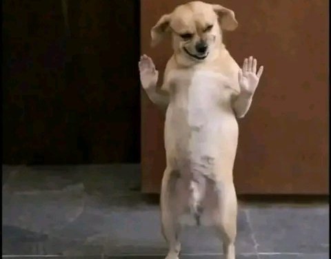 𝑭𝒓𝒆𝒅🦇 tweet media