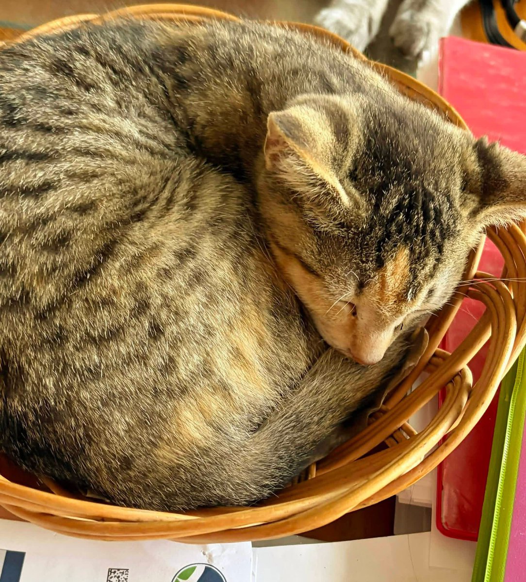 Amy Perrin tweet media