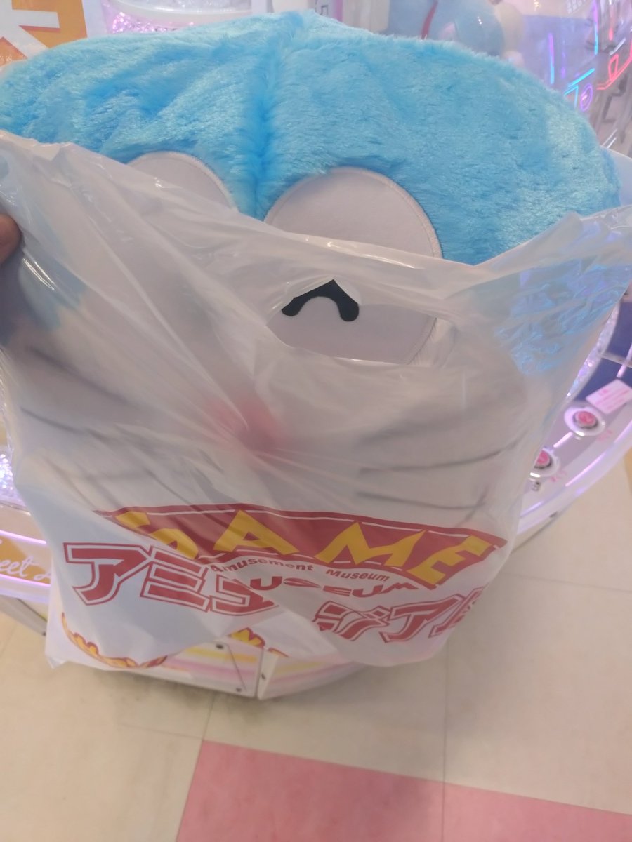 あらいぐまらっちゃん tweet media