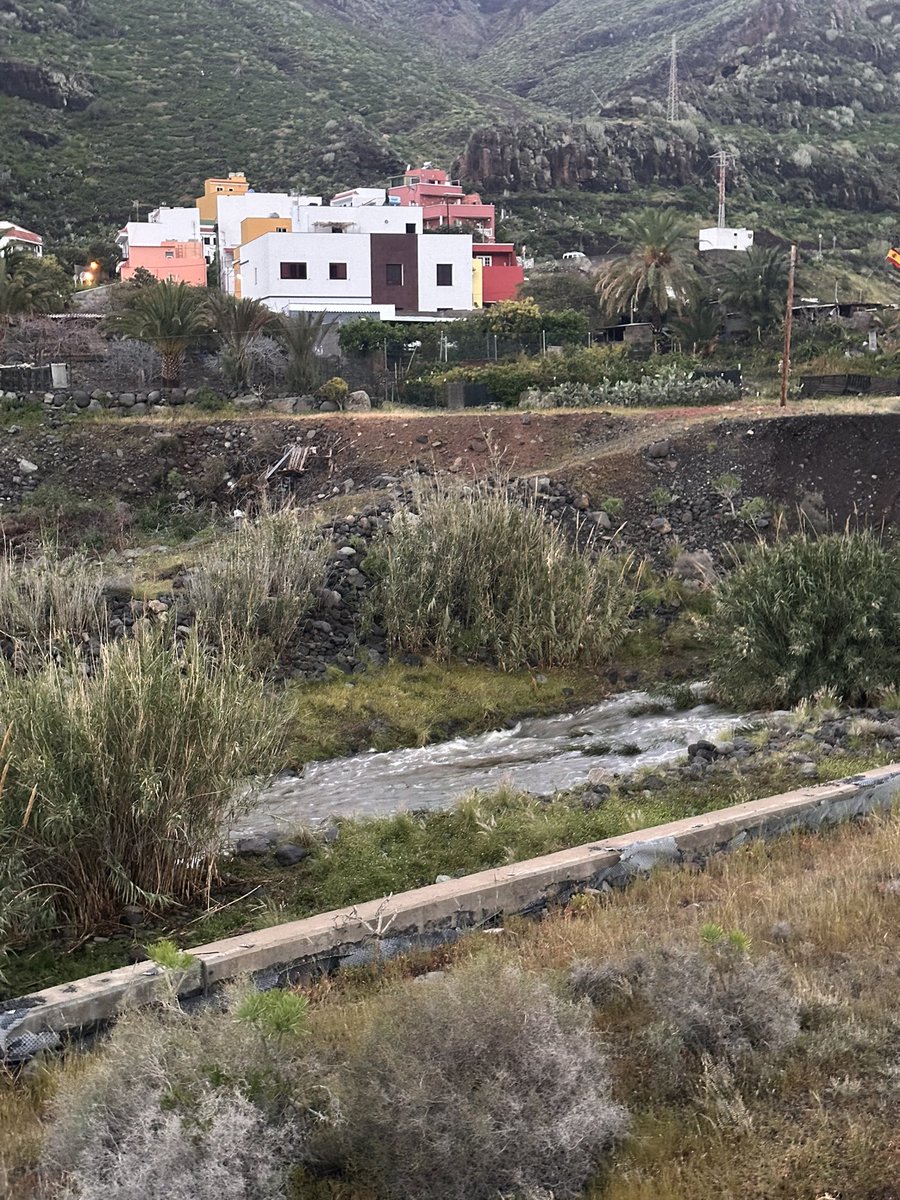 Mari Ramos 🇮🇨 tweet media