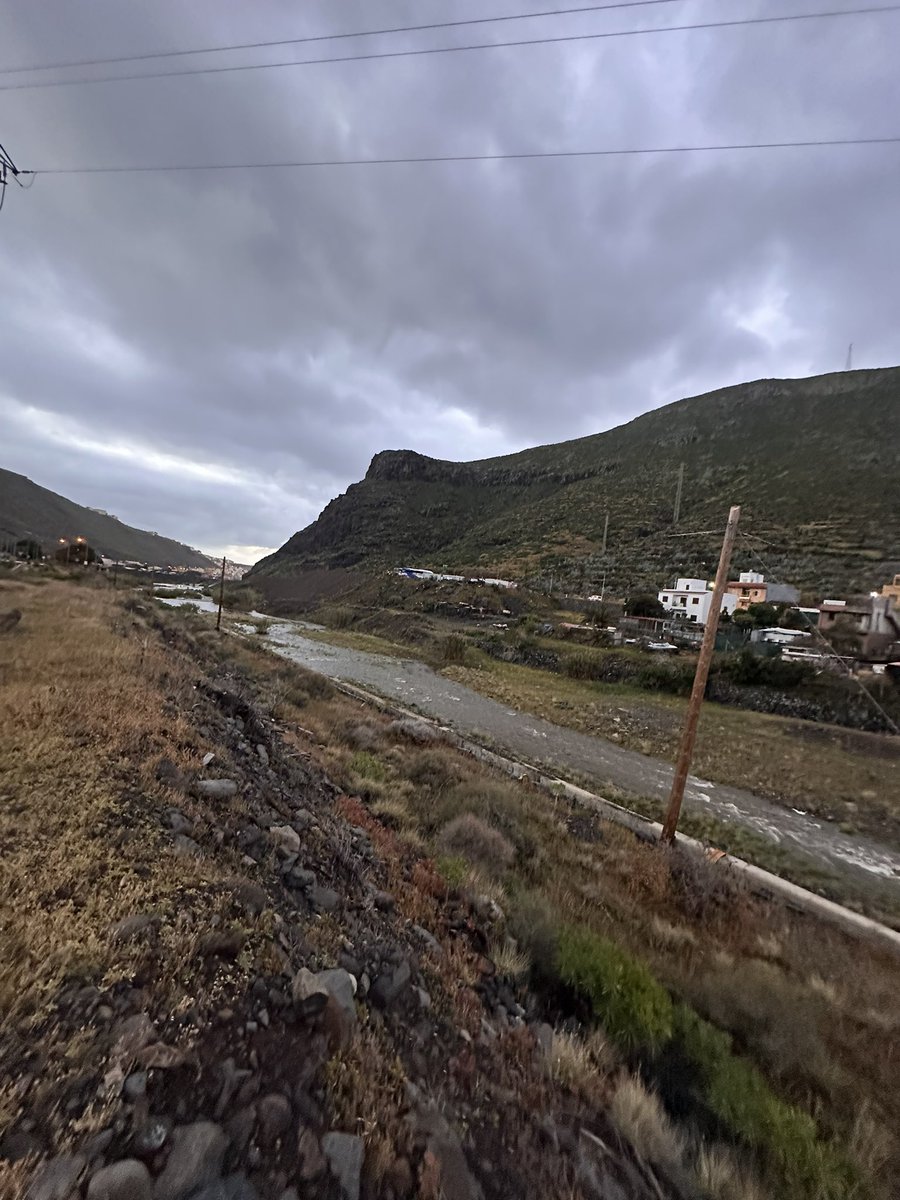 Mari Ramos 🇮🇨 tweet media