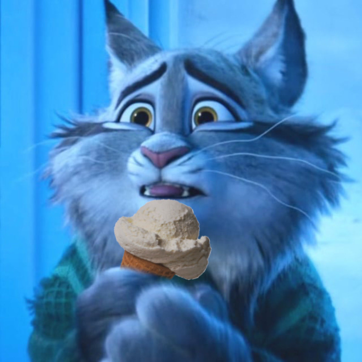 Pawbert Nation tweet media