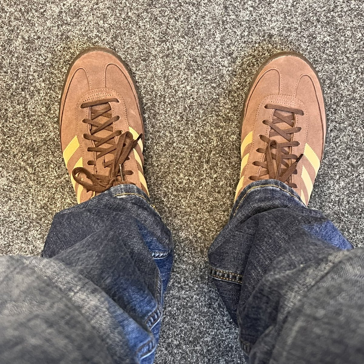 kingcibo tweet media