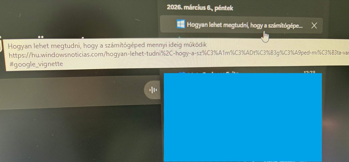 🍄 Ｎｙｏｒｉｎｎ 🍄 tweet media