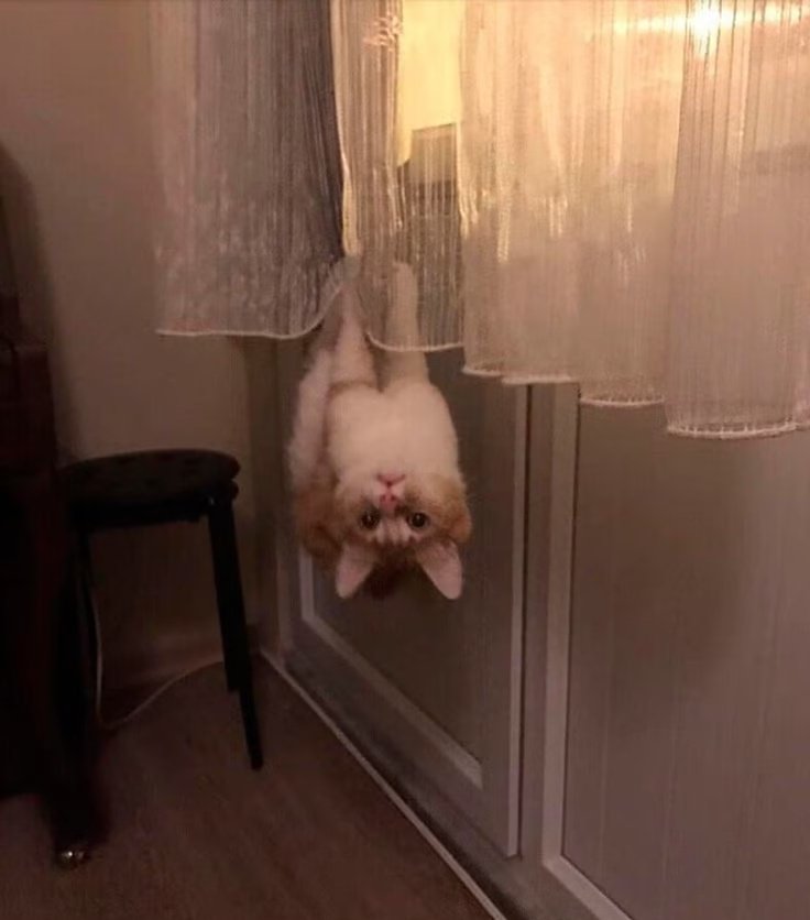 ᅠ ᅠ (@solukayna) on Twitter photo 