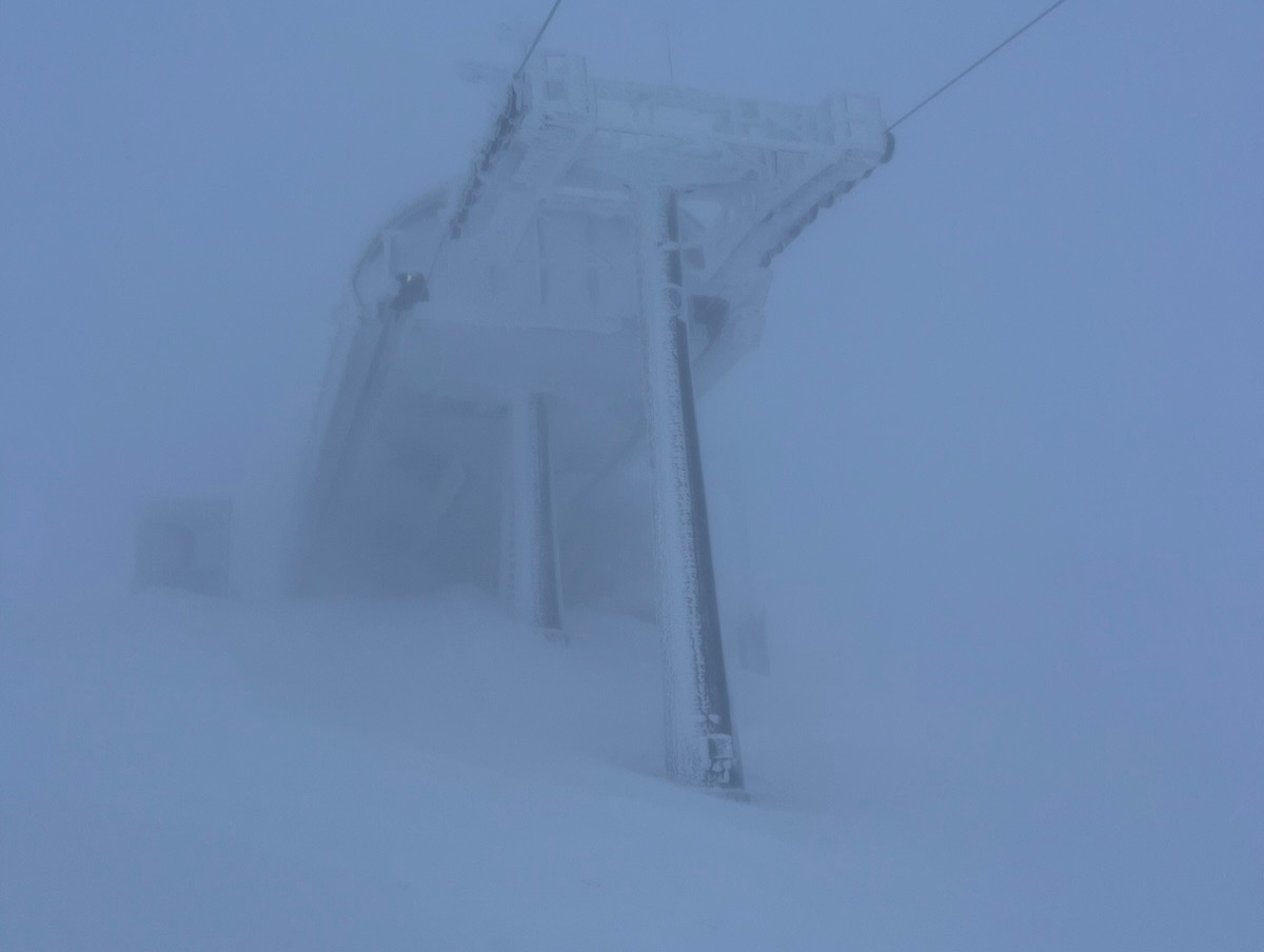 Snow Forecast.com tweet media