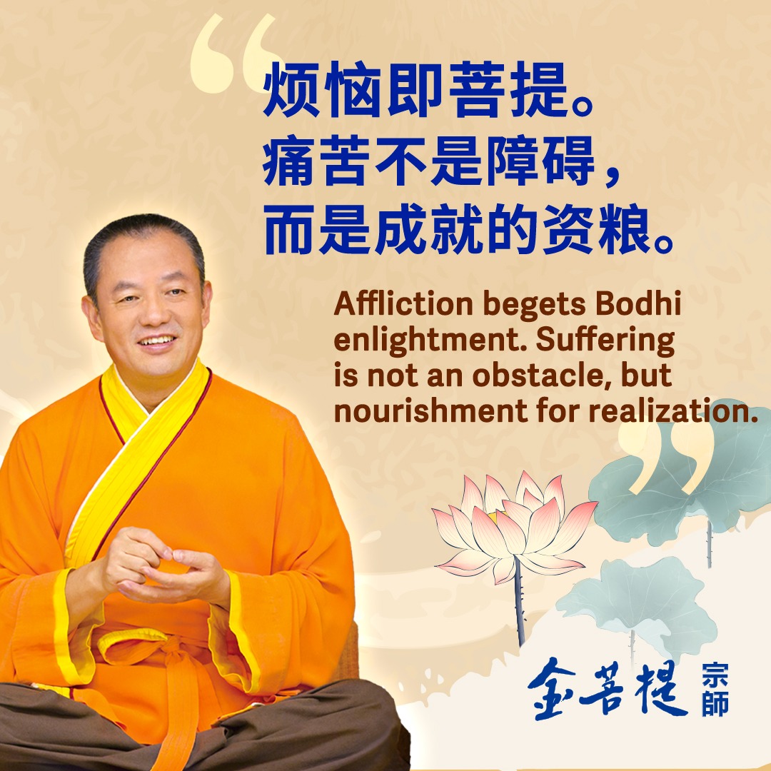 金菩提宗师 Master JinBodhi tweet media
