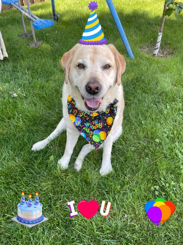 💛 Linda 👩 & Daisy 🦮 💛 tweet media