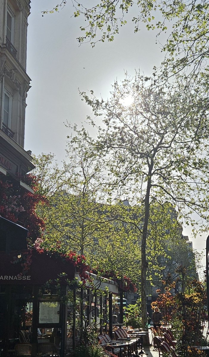 Pisma iz NorveškU tweet media