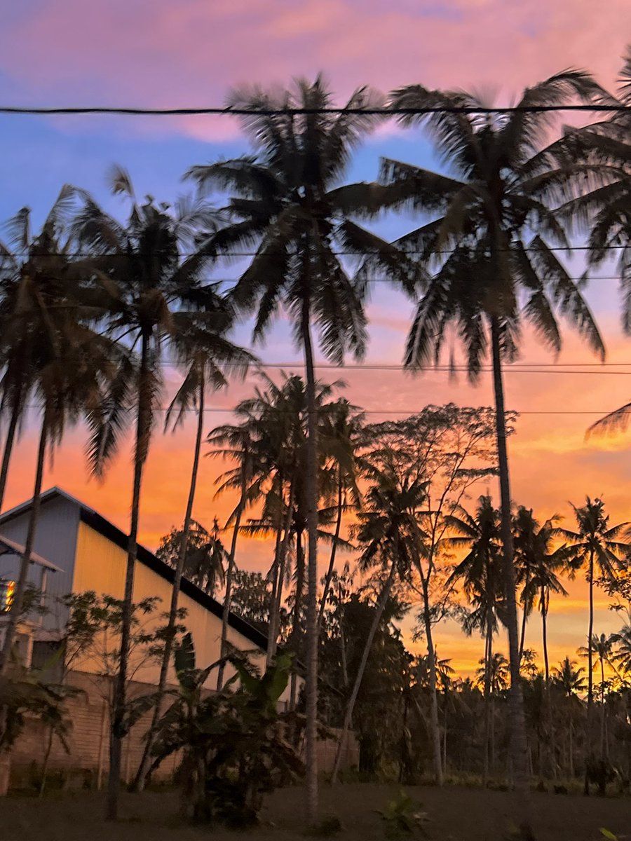 🐻🐻 tweet media