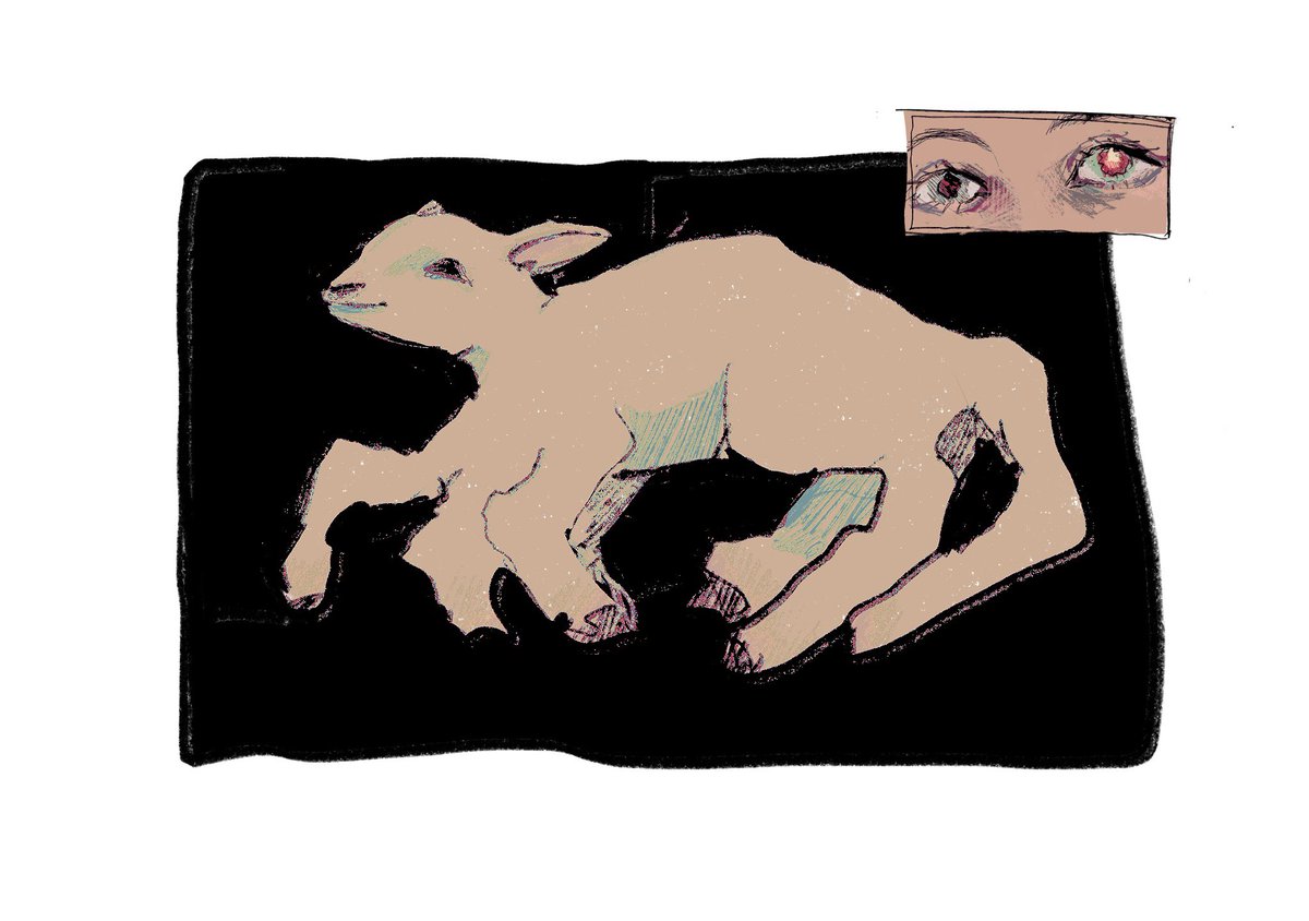 kowai channel tweet media