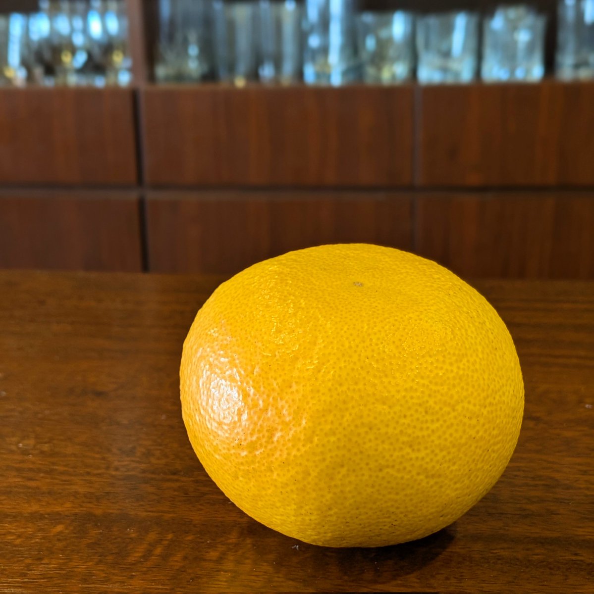 BarCafeY's tweet photo. フレッシュフルーツカクテル【甘夏】本日よりスタート！

春の柑橘も出回り始めました。

3連休ご来店お待ちしております。 https://t.co/YszutRlJzq