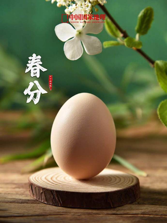 zhangsa02406407's tweet photo. 春分 https://t.co/MyJIJK5OkN