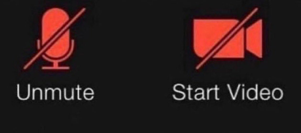 𝐙𝐢𝐧 tweet media